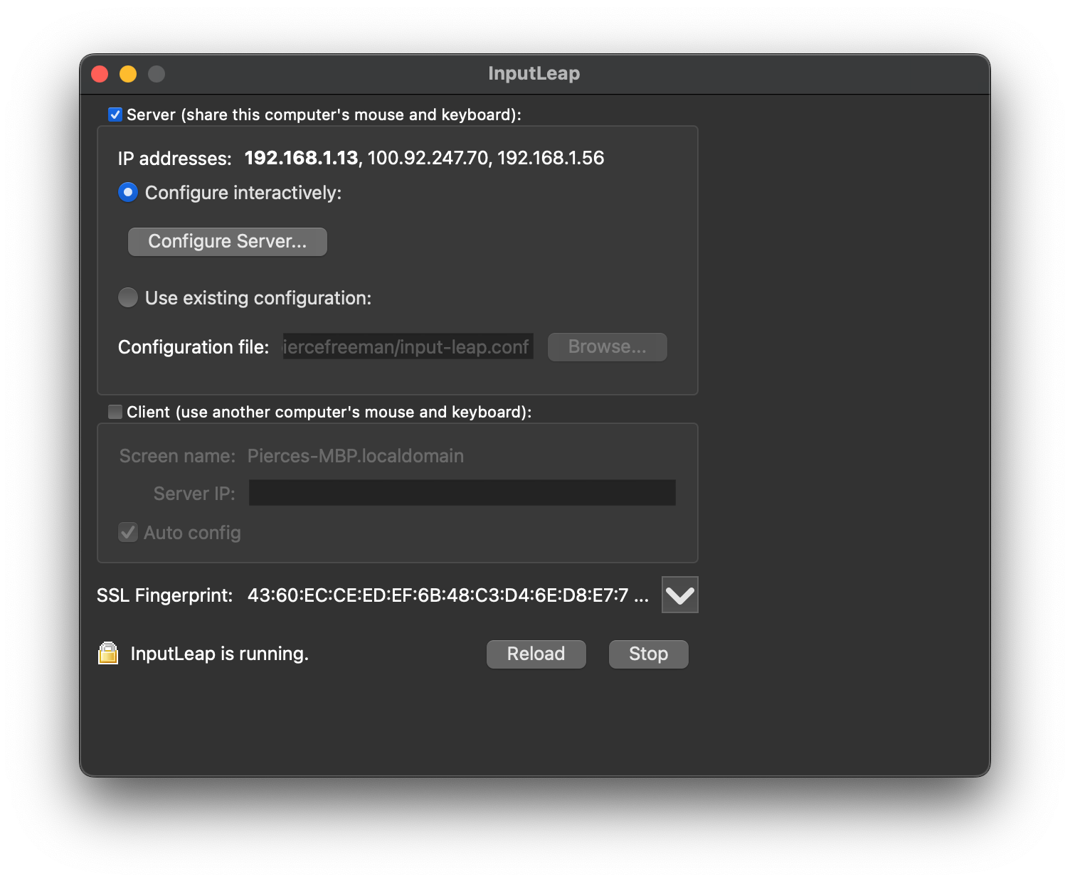 Screenshot of server config view